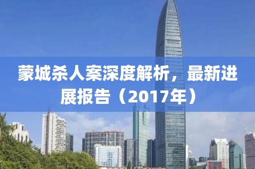 蒙城殺人案深度解析，最新進(jìn)展報告（2017年）