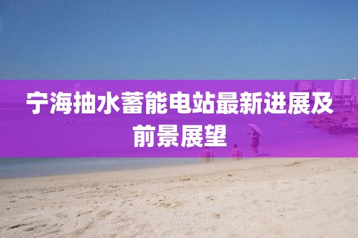 寧海抽水蓄能電站最新進(jìn)展及前景展望