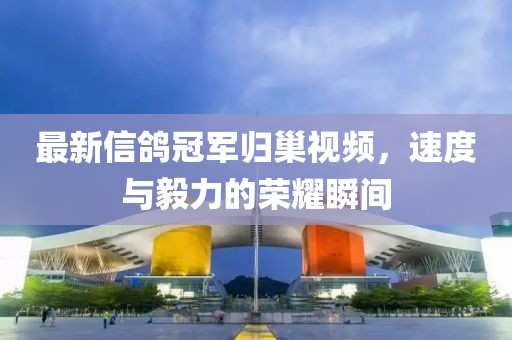 最新信鴿冠軍歸巢視頻，速度與毅力的榮耀瞬間