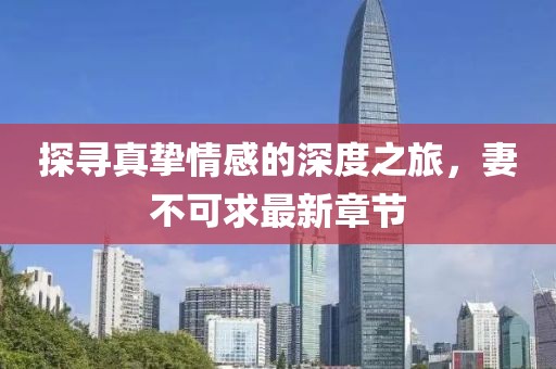 探尋真摯情感的深度之旅，妻不可求最新章節(jié)