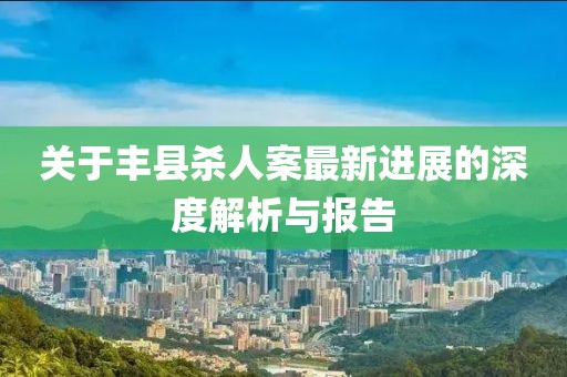 關(guān)于豐縣殺人案最新進(jìn)展的深度解析與報(bào)告