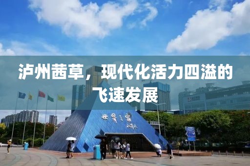 瀘州茜草，現代化活力四溢的飛速發(fā)展