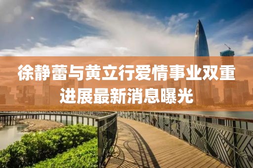 徐靜蕾與黃立行愛(ài)情事業(yè)雙重進(jìn)展最新消息曝光