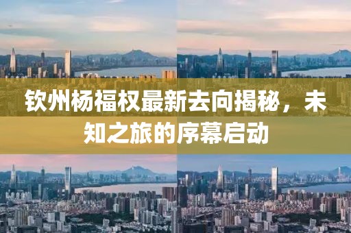 欽州楊福權(quán)最新去向揭秘，未知之旅的序幕啟動(dòng)