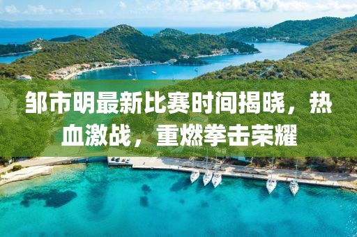 鄒市明最新比賽時間揭曉，熱血激戰(zhàn)，重燃拳擊榮耀