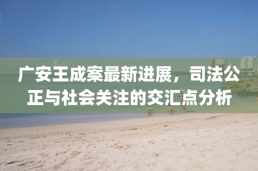 廣安王成案最新進(jìn)展，司法公正與社會(huì)關(guān)注的交匯點(diǎn)分析
