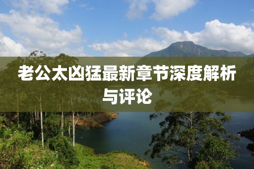 老公太兇猛最新章節(jié)深度解析與評(píng)論