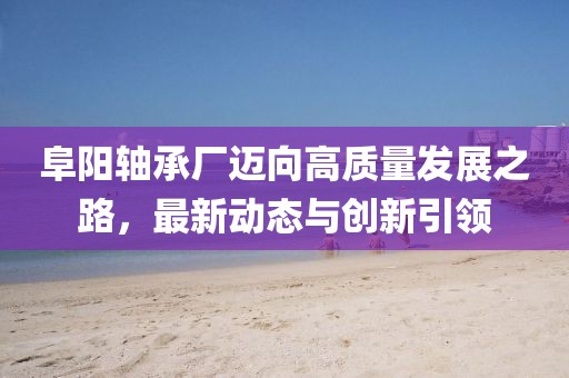 阜陽軸承廠邁向高質(zhì)量發(fā)展之路，最新動態(tài)與創(chuàng)新引領(lǐng)