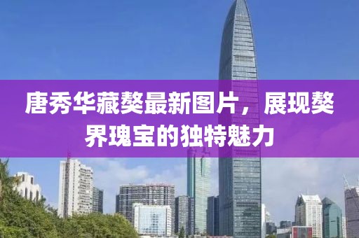 唐秀華藏獒最新圖片，展現(xiàn)獒界瑰寶的獨(dú)特魅力