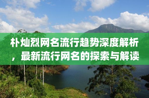 樸燦烈網(wǎng)名流行趨勢深度解析，最新流行網(wǎng)名的探索與解讀