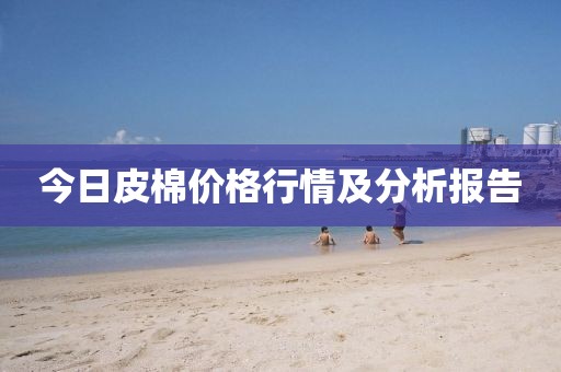 今日皮棉價格行情及分析報告