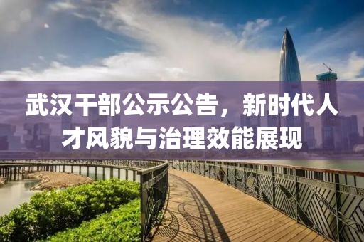 武漢干部公示公告，新時(shí)代人才風(fēng)貌與治理效能展現(xiàn)