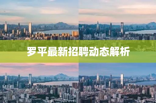 羅平最新招聘動(dòng)態(tài)解析