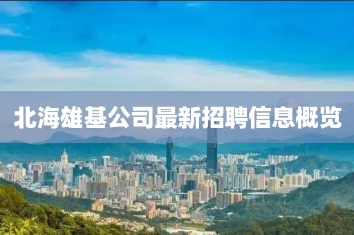 北海雄基公司最新招聘信息概覽