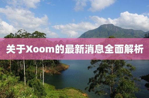 關于Xoom的最新消息全面解析