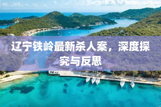 遼寧鐵嶺最新殺人案，深度探究與反思
