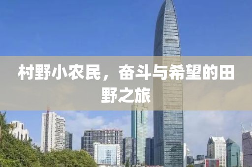 村野小農(nóng)民，奮斗與希望的田野之旅