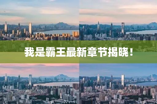 我是霸王最新章節(jié)揭曉！