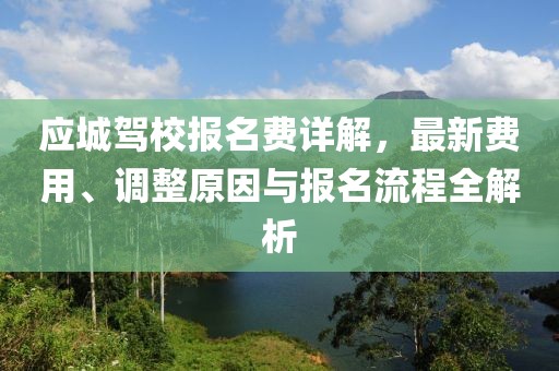 應城駕校報名費詳解，最新費用、調整原因與報名流程全解析