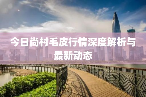 今日尚村毛皮行情深度解析與最新動(dòng)態(tài)