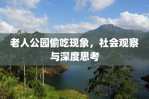 老人公園偷吃現(xiàn)象，社會觀察與深度思考