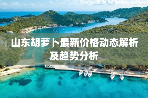 山東胡蘿卜最新價(jià)格動(dòng)態(tài)解析及趨勢(shì)分析