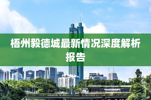 梧州毅德城最新情況深度解析報告