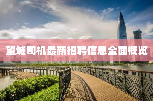 望城司機最新招聘信息全面概覽