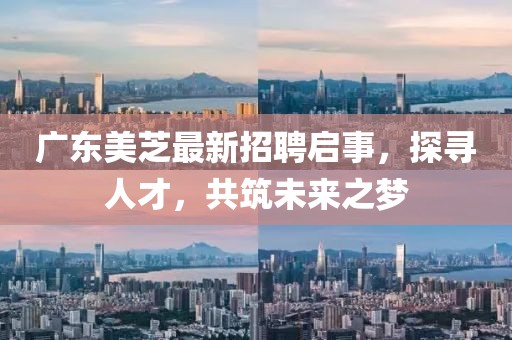 廣東美芝最新招聘啟事，探尋人才，共筑未來(lái)之夢(mèng)