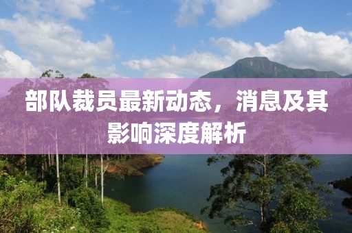 部隊裁員最新動態(tài)，消息及其影響深度解析