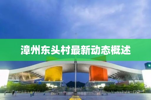 漳州東頭村最新動(dòng)態(tài)概述