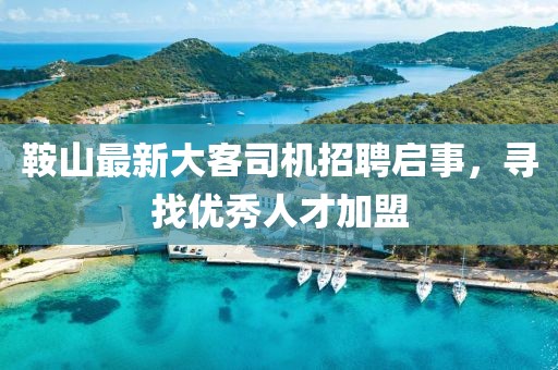 鞍山最新大客司機招聘啟事，尋找優(yōu)秀人才加盟