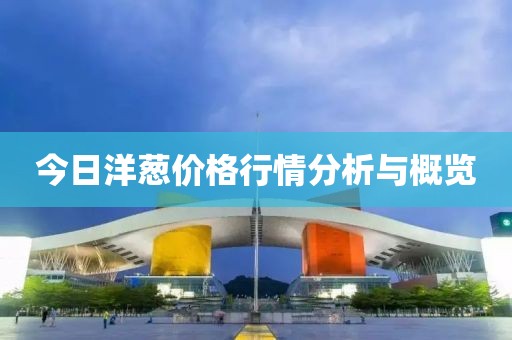 今日洋蔥價格行情分析與概覽