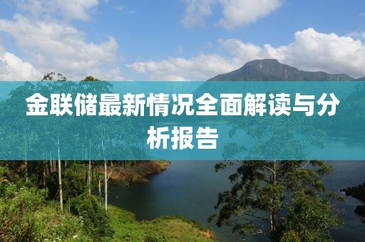金聯(lián)儲最新情況全面解讀與分析報告