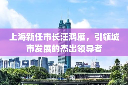 上海新任市長汪鴻雁，引領(lǐng)城市發(fā)展的杰出領(lǐng)導(dǎo)者