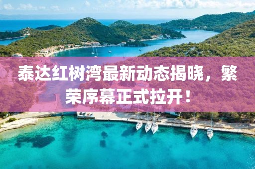 泰達紅樹灣最新動態(tài)揭曉，繁榮序幕正式拉開！