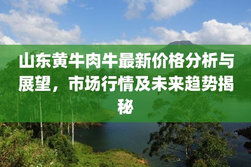 山東黃牛肉牛最新價(jià)格分析與展望，市場行情及未來趨勢(shì)揭秘
