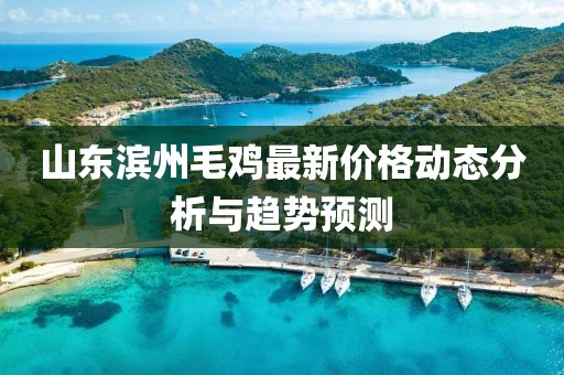 山東濱州毛雞最新價(jià)格動(dòng)態(tài)分析與趨勢(shì)預(yù)測(cè)