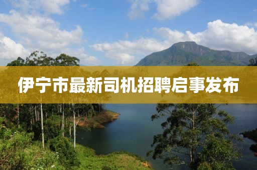 瑤不起 第14頁
