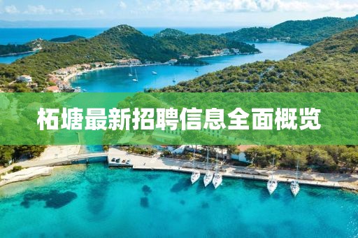 柘塘最新招聘信息全面概覽