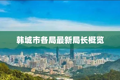 韓城市各局最新局長概覽