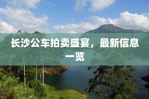 長(zhǎng)沙公車拍賣盛宴，最新信息一覽
