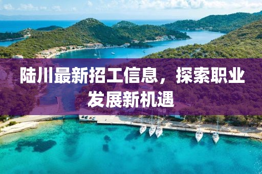陸川最新招工信息，探索職業(yè)發(fā)展新機(jī)遇