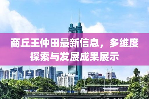商丘王仲田最新信息，多維度探索與發(fā)展成果展示