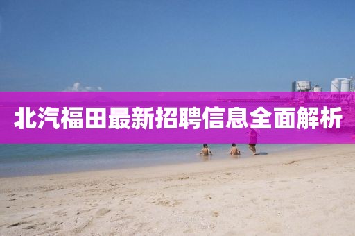 2025年2月 第395頁