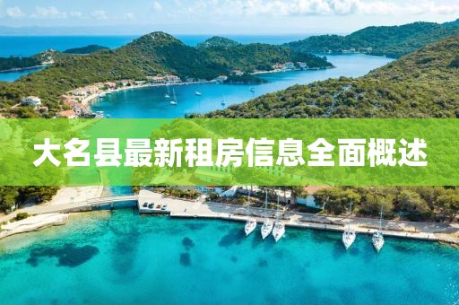 大名縣最新租房信息全面概述