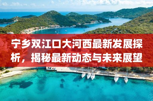 寧鄉(xiāng)雙江口大河西最新發(fā)展探析，揭秘最新動(dòng)態(tài)與未來展望