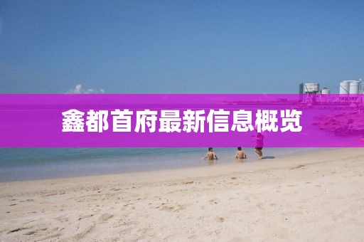 鑫都首府最新信息概覽