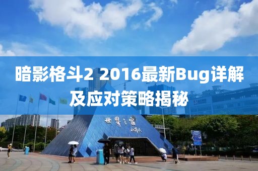 暗影格斗2 2016最新Bug詳解及應(yīng)對(duì)策略揭秘