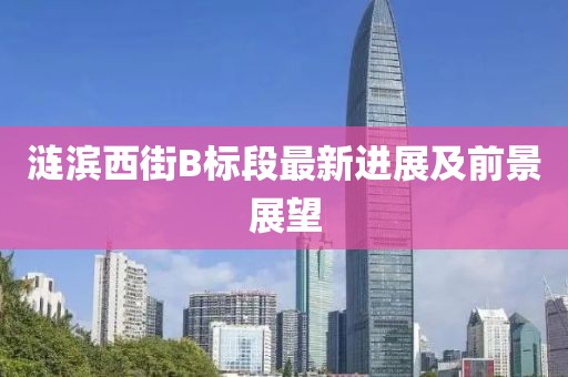 漣濱西街B標段最新進展及前景展望